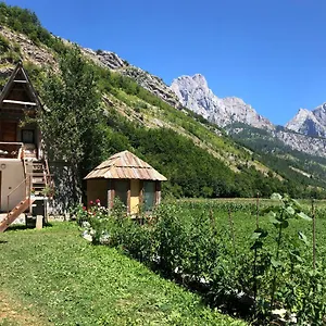 https://guest-hause-ledjo.albaniahotels.org
