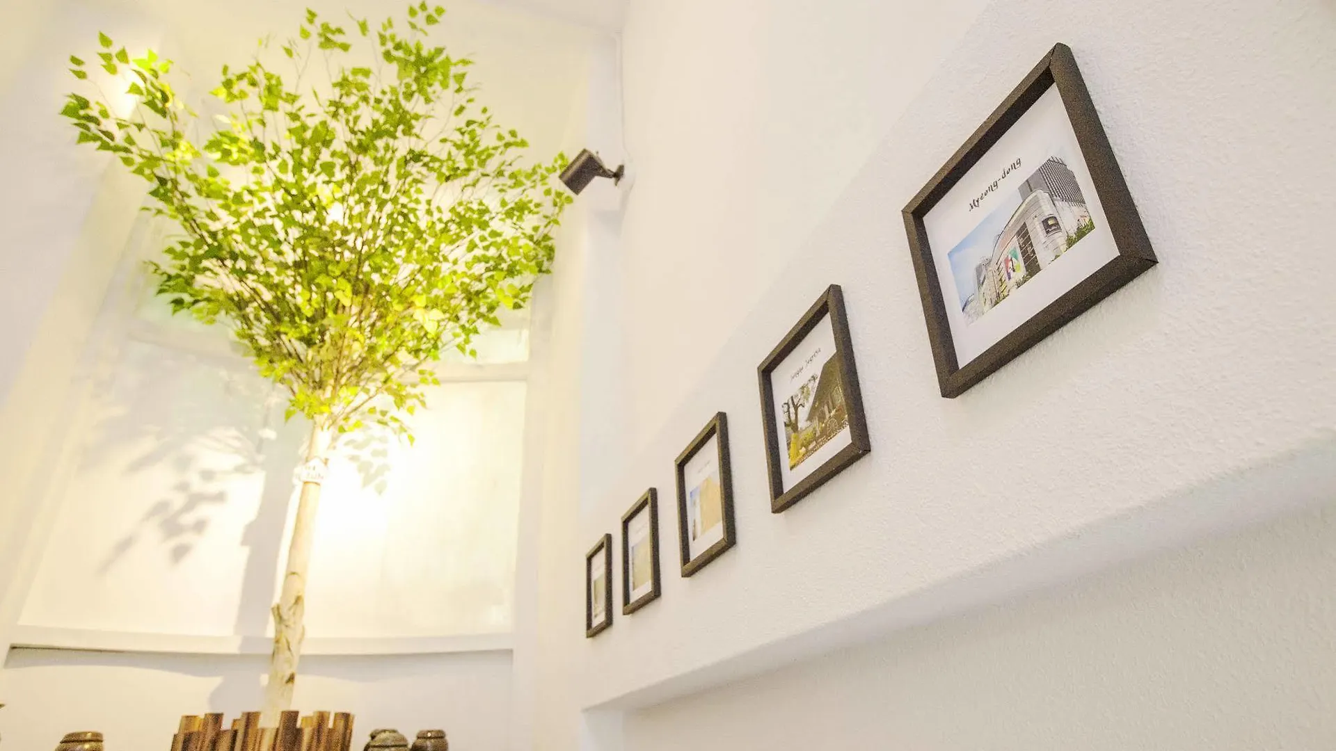** Guest house The Blossom Yeonnam Guesthouse Seoul South Korea